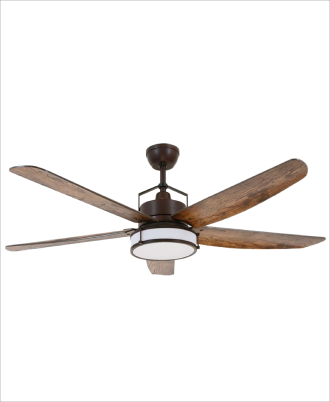 Decorative Ceiling Fan with Remote Control