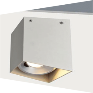 Lumin Spark Surface Mounted Light