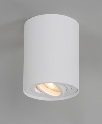 Lucid White Rotatable Surface Spotligh