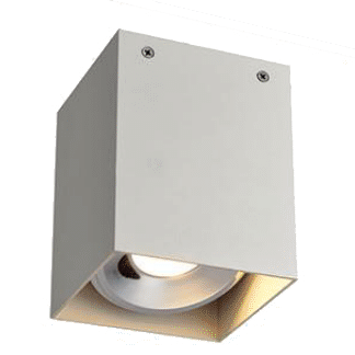 Lumin Spark Surface Mounted Light